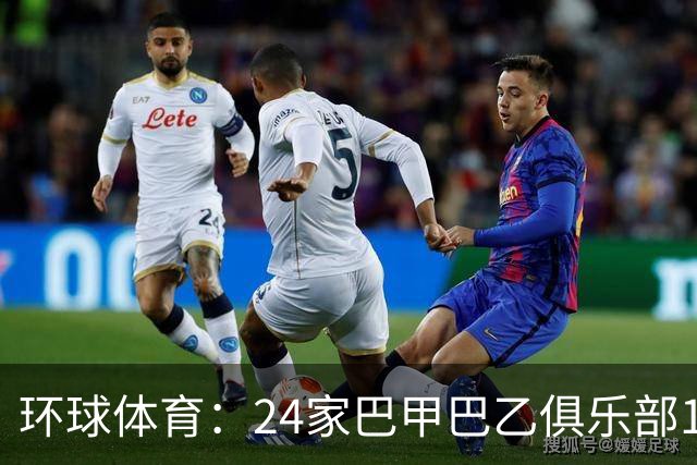 环球体育：24家巴甲巴乙俱乐部11月30日起或受罚
